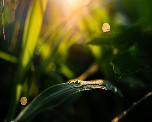Healthy metabolic morning routine showing fresh water and natural light